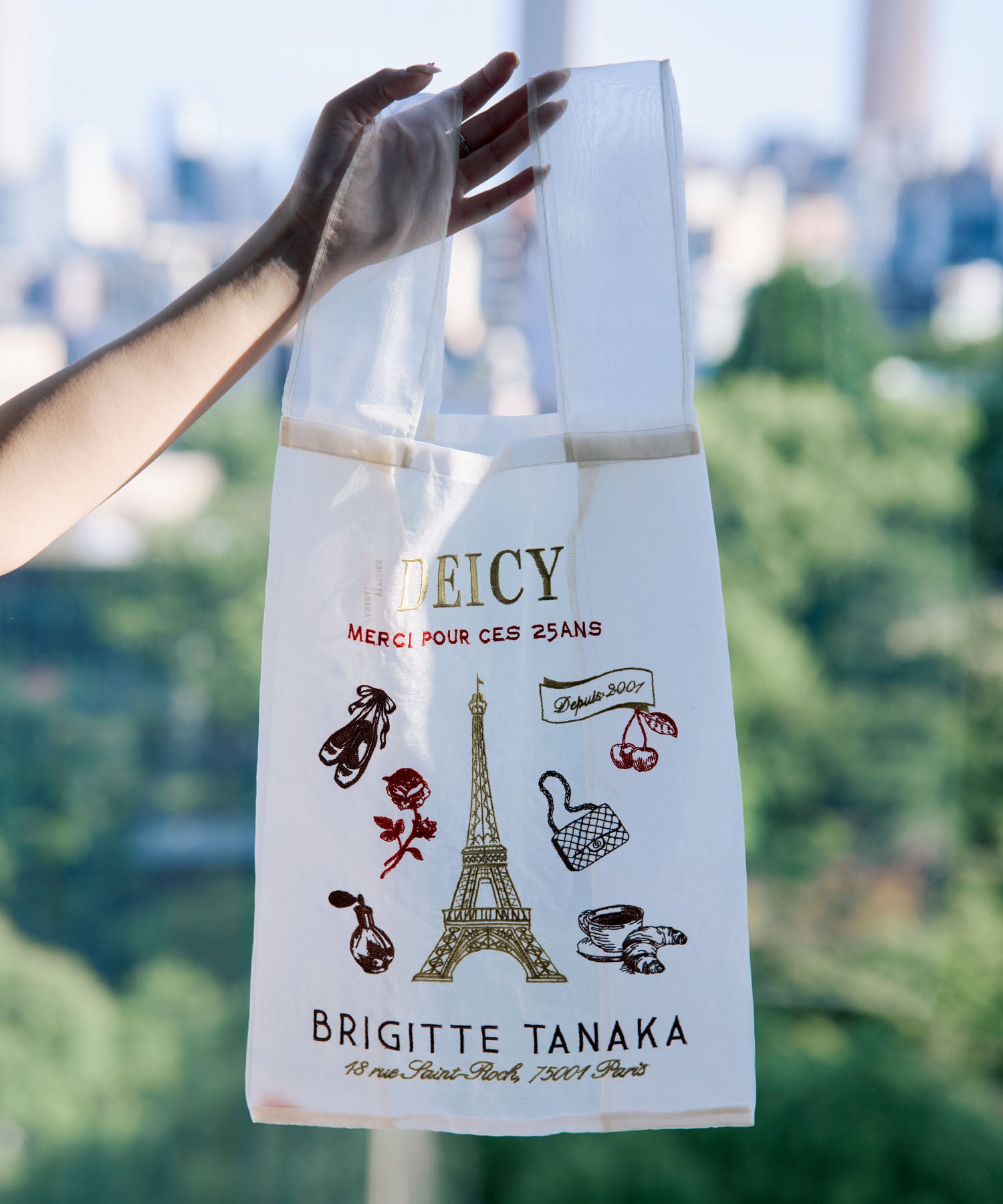 25th B.TANAKA×DEICYコラボトート